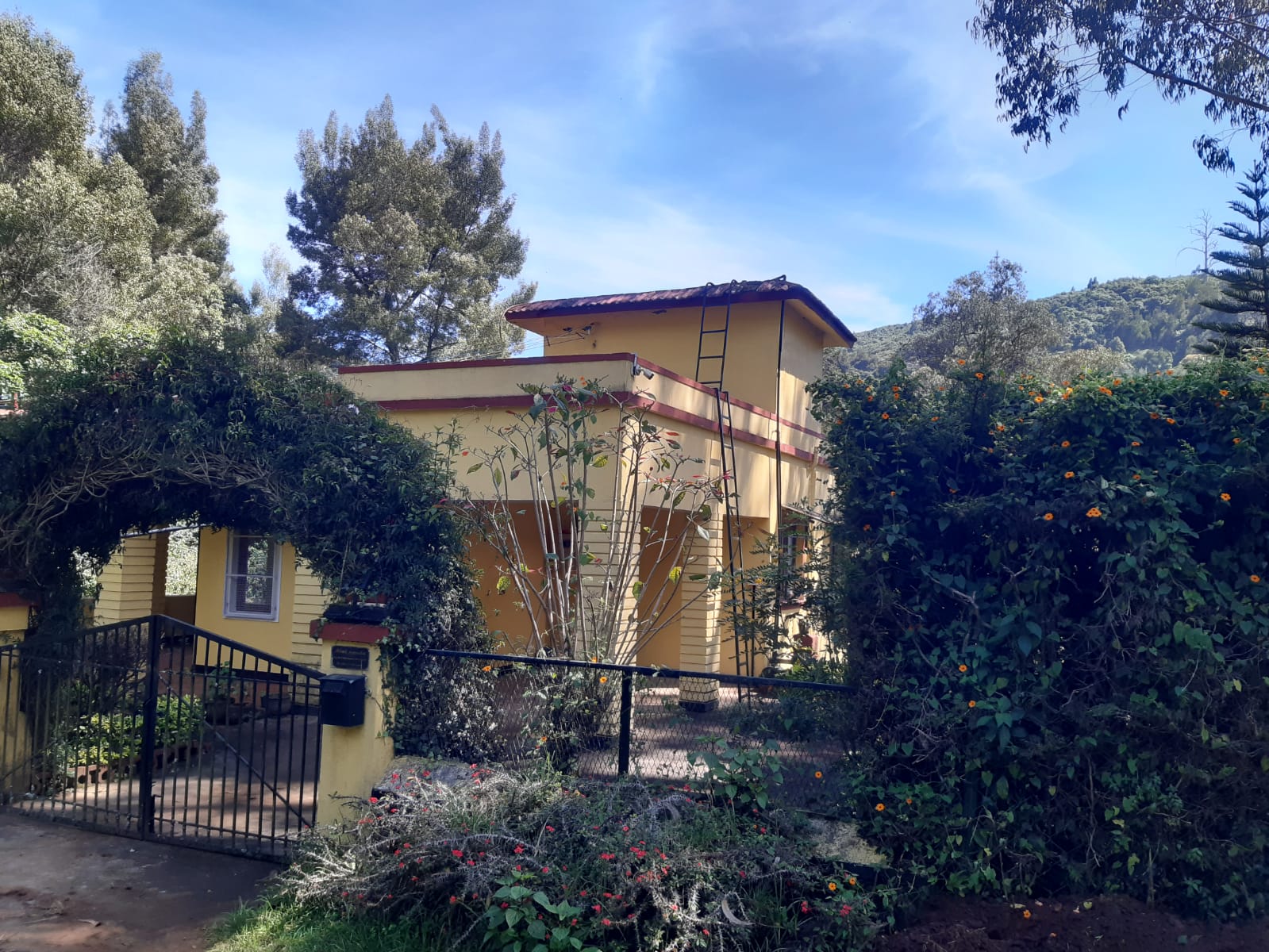 Property 11